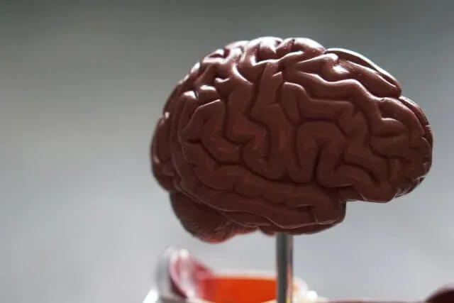 Neuropsicologia em Curitiba PR - Clínica de Psicologia